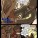 Celerity Page 12