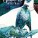 Review | Sharaz-De: Tales From The Arabian Nights