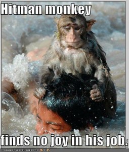 funny-pictures-hitman-monkey-drowns-boy