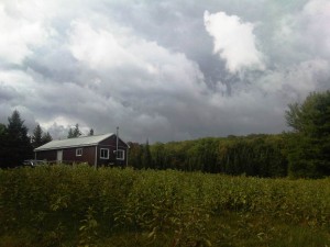 Storm Coming