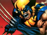 Wolverine-Wallpaper-wolverine-3508352-800-600