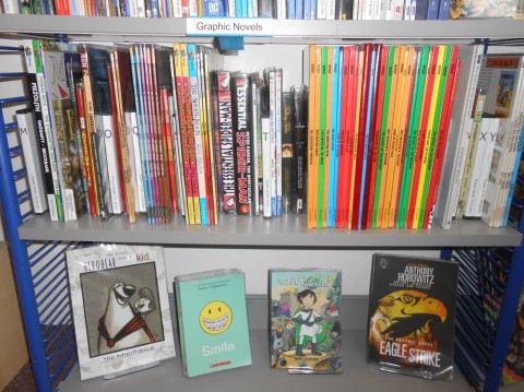 Library Graphic Novels