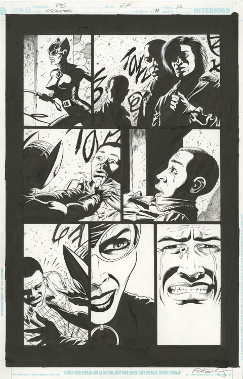 Catwoman issue 25 page 12 by Paul Gulacy and Jimmy Palmiotti