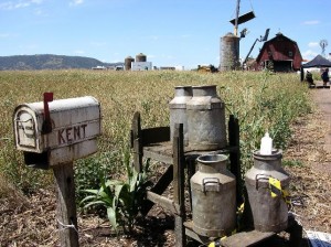 superman_kent_mailbox