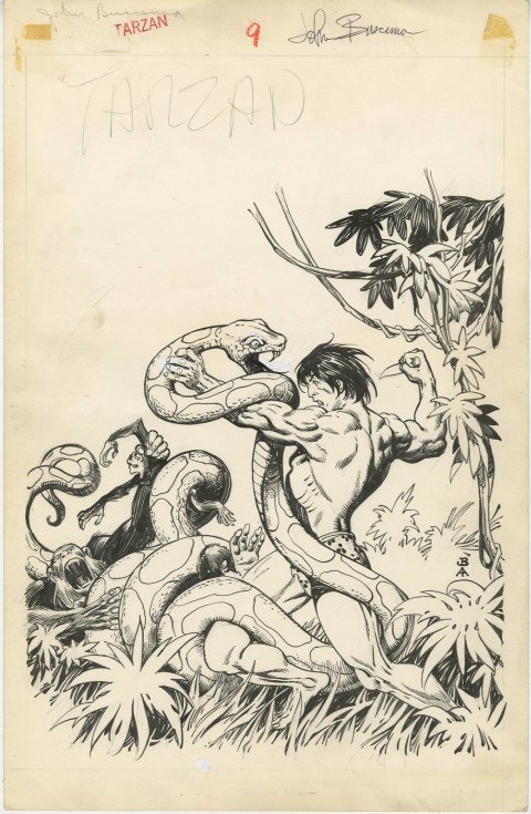 Tarzan issue 9 cover by John Buscema and Alfredo Alcala.  Source.