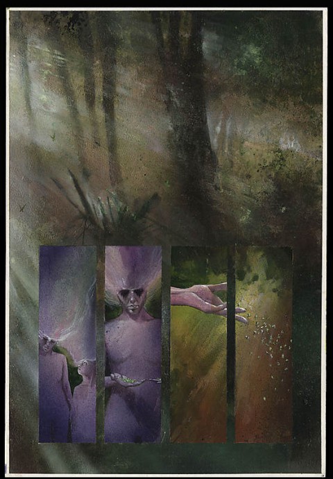 Black Orchid page by Dave McKean.  Source.