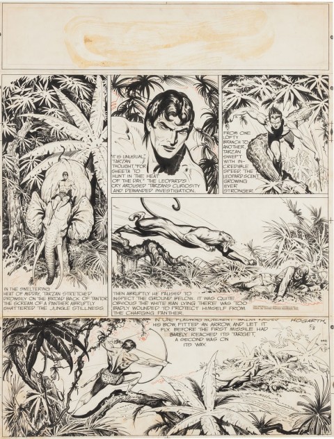 Tarzan Sunday 5-8-49 by Burne Hogarth.  Source.