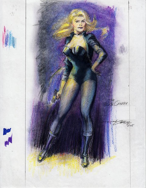 Black Canary by Nick Cardy.  Source.