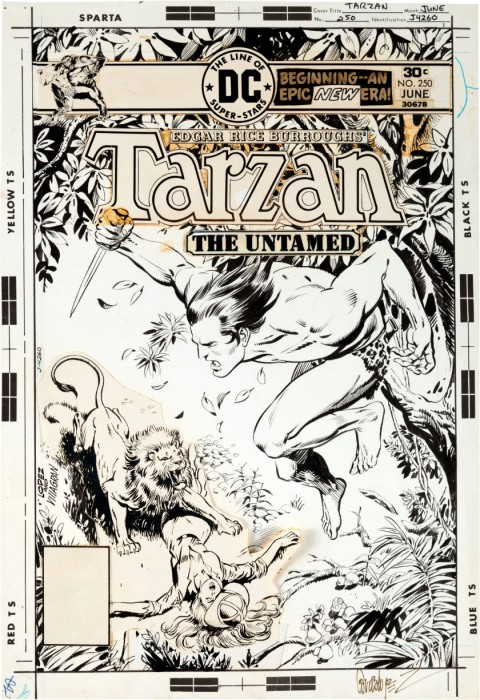 Tarzan issue 250 cover by Jose Luis Garcia-Lopez and Ricardo Villagran.  Source.