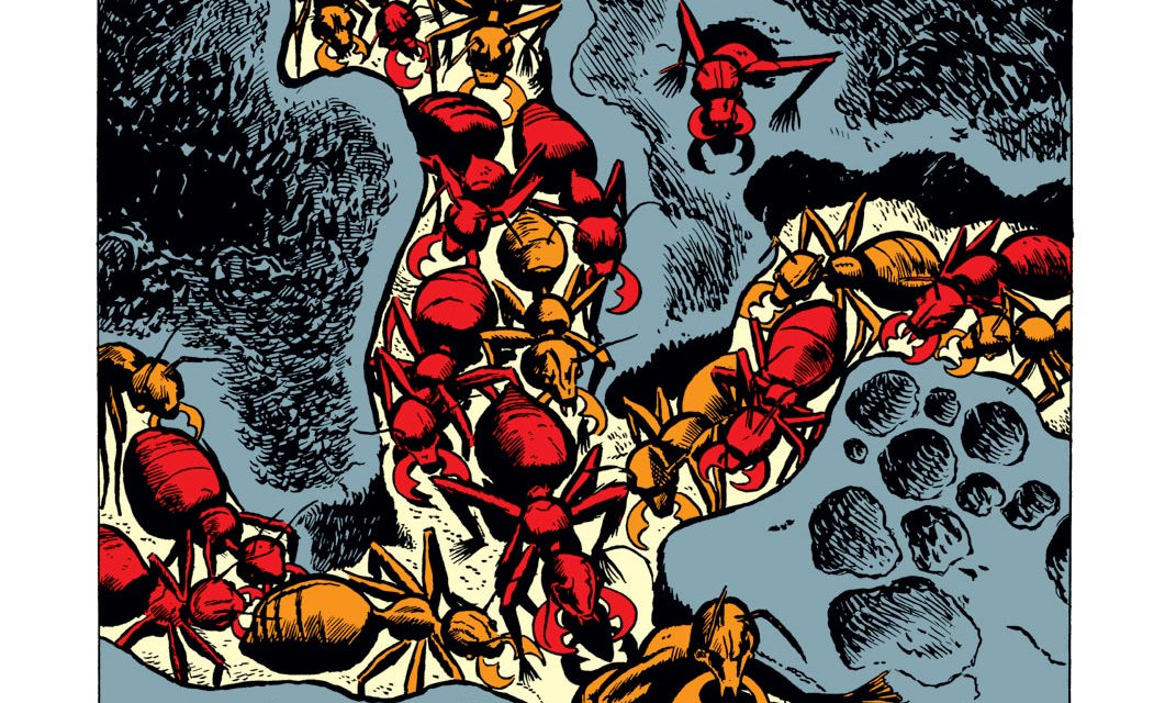 Week 9 The Early Marvel Keys Comic Book Daily